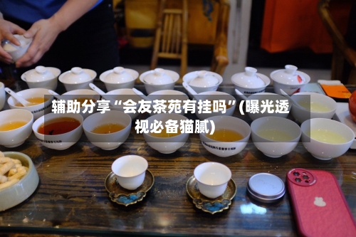 辅助分享“会友茶苑有挂吗”(曝光透视必备猫腻)-第1张图片