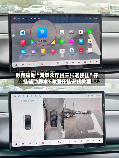 教程辅助“海草众厅拼三张透视挂”开挂辅助脚本+详细开挂安装教程-第1张图片