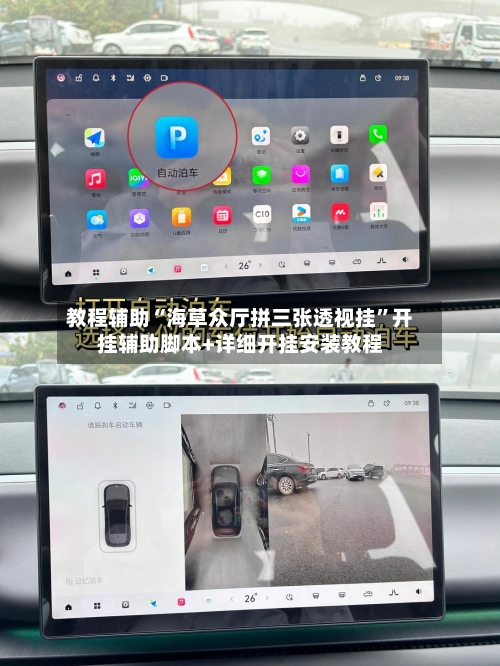 教程辅助“海草众厅拼三张透视挂”开挂辅助脚本+详细开挂安装教程-第2张图片