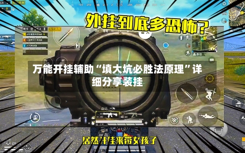 万能开挂辅助“填大坑必胜法原理”详细分享装挂-第2张图片