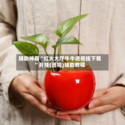 辅助神器“红火大厅牛牛透视挂下载”开挂(透视)辅助教程-第2张图片