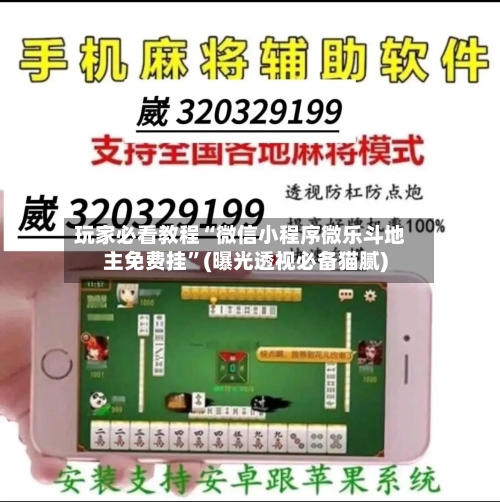 玩家必看教程“微信小程序微乐斗地主免费挂”(曝光透视必备猫腻)-第2张图片