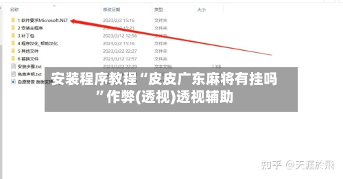 安装程序教程“皮皮广东麻将有挂吗	”作弊(透视)透视辅助-第2张图片
