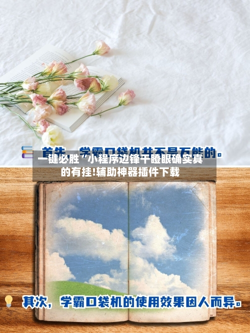 一键必胜“小程序边锋干瞪眼确实真的有挂!辅助神器插件下载-第3张图片