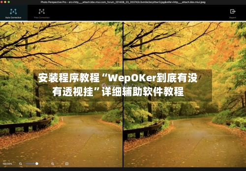 安装程序教程“WepOKer到底有没有透视挂”详细辅助软件教程-第1张图片
