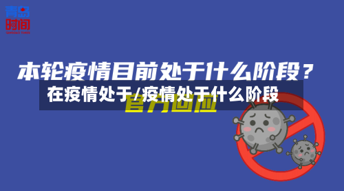 在疫情处于/疫情处于什么阶段-第3张图片