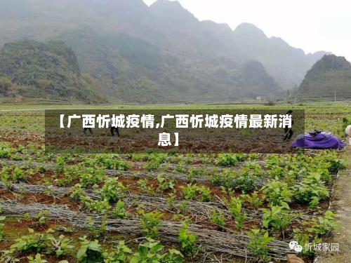 【广西忻城疫情,广西忻城疫情最新消息】-第1张图片