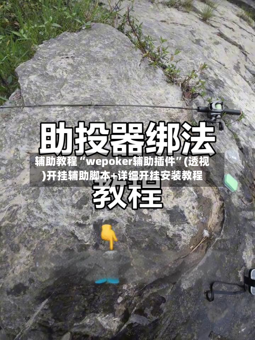 辅助教程“wepoker辅助插件”(透视)开挂辅助脚本+详细开挂安装教程-第1张图片