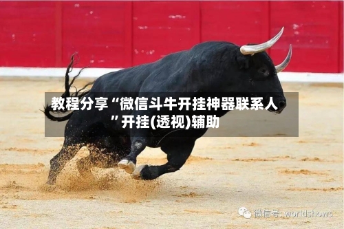 教程分享“微信斗牛开挂神器联系人	”开挂(透视)辅助-第3张图片