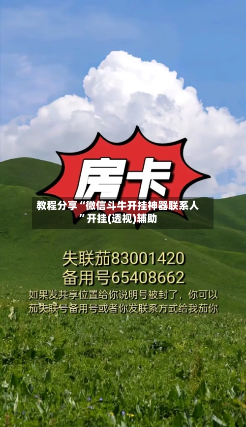 教程分享“微信斗牛开挂神器联系人”开挂(透视)辅助-第2张图片