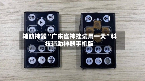 辅助神器“广东雀神挂试用一天”科技辅助神器手机版-第2张图片