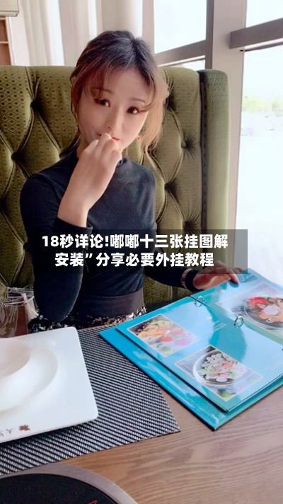 18秒详论!嘟嘟十三张挂图解安装	”分享必要外挂教程-第1张图片