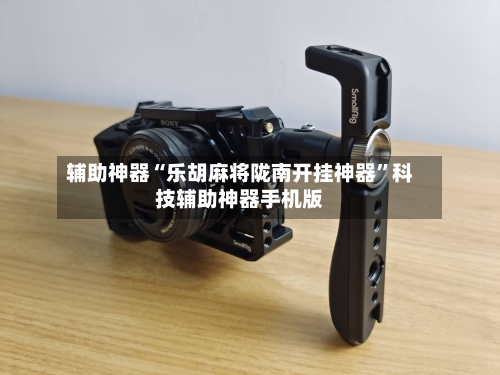 辅助神器“乐胡麻将陇南开挂神器”科技辅助神器手机版-第1张图片