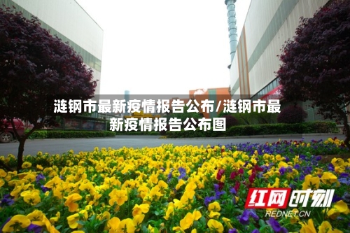 涟钢市最新疫情报告公布/涟钢市最新疫情报告公布图-第1张图片