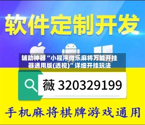 辅助神器“小程序微乐麻将万能开挂器通用版(透视)	”详细开挂玩法-第2张图片