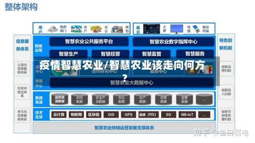 疫情智慧农业/智慧农业该走向何方?-第2张图片