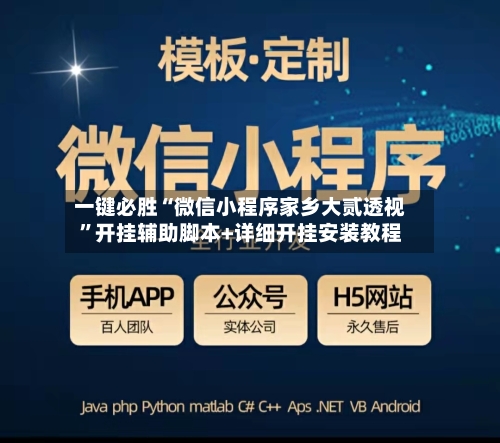 一键必胜“微信小程序家乡大贰透视”开挂辅助脚本+详细开挂安装教程-第3张图片