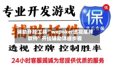 辅助开挂工具“wepoker透视底牌软件”开挂辅助详细步骤-第3张图片