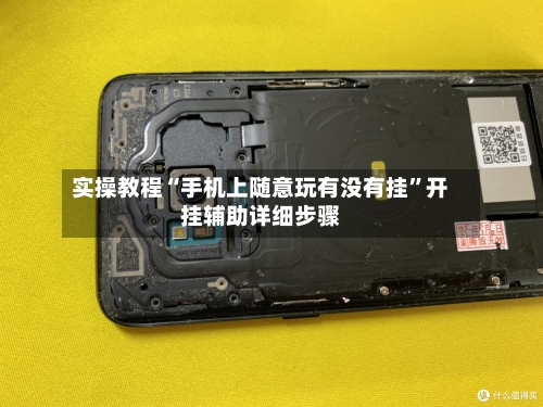 实操教程“手机上随意玩有没有挂	”开挂辅助详细步骤-第2张图片