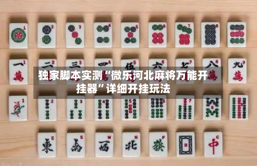 独家脚本实测“微乐河北麻将万能开挂器”详细开挂玩法-第1张图片