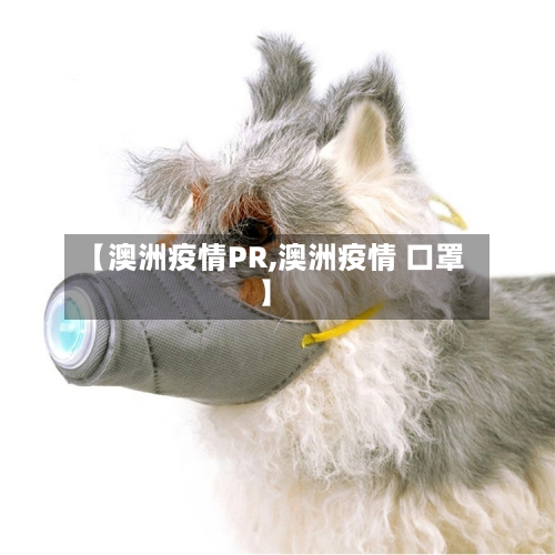 【澳洲疫情PR,澳洲疫情 口罩】-第2张图片