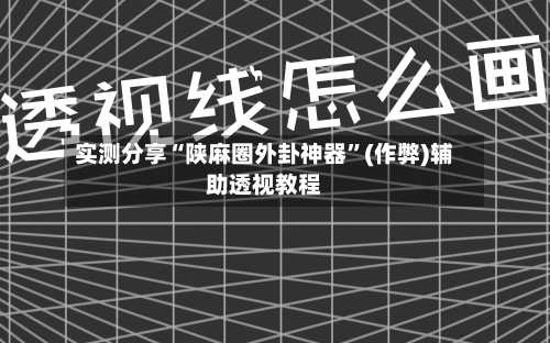 实测分享“陕麻圈外卦神器	”(作弊)辅助透视教程-第1张图片
