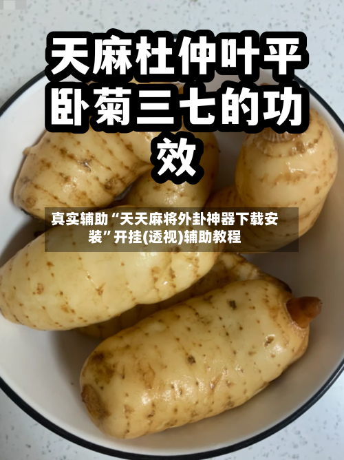 真实辅助“天天麻将外卦神器下载安装	”开挂(透视)辅助教程-第1张图片