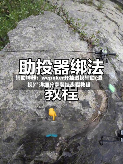 辅助神器：wepoker开挂透视辅助(透视)”详细分享装挂步骤教程-第1张图片