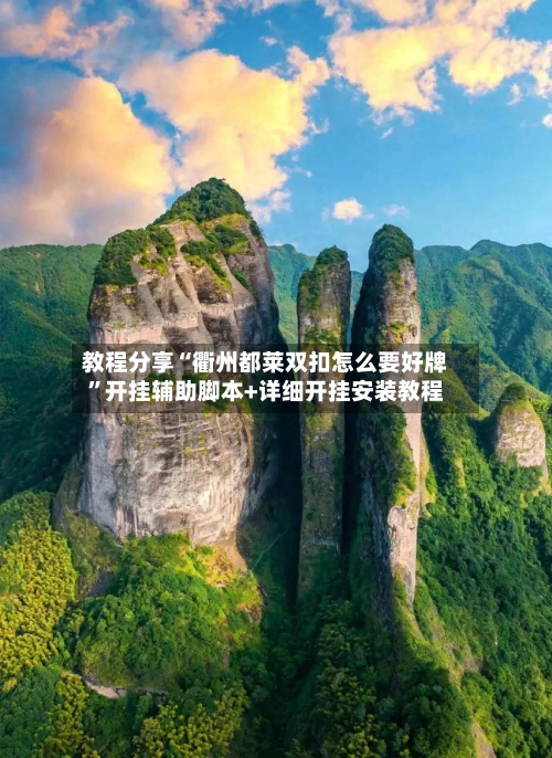 教程分享“衢州都莱双扣怎么要好牌”开挂辅助脚本+详细开挂安装教程-第3张图片