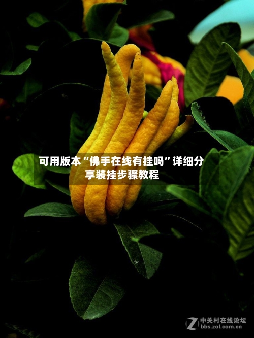 可用版本“佛手在线有挂吗	”详细分享装挂步骤教程-第1张图片