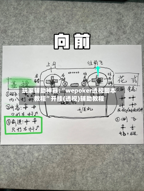 玩家辅助神器:“wepoker透视脚本教程”开挂(透视)辅助教程-第3张图片