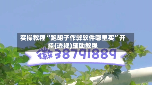 实操教程“跑胡子作弊软件哪里买”开挂(透视)辅助教程-第1张图片