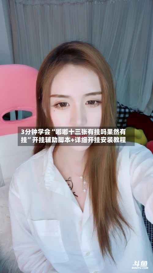 3分钟学会“嘟嘟十三张有挂吗果然有挂”开挂辅助脚本+详细开挂安装教程-第1张图片