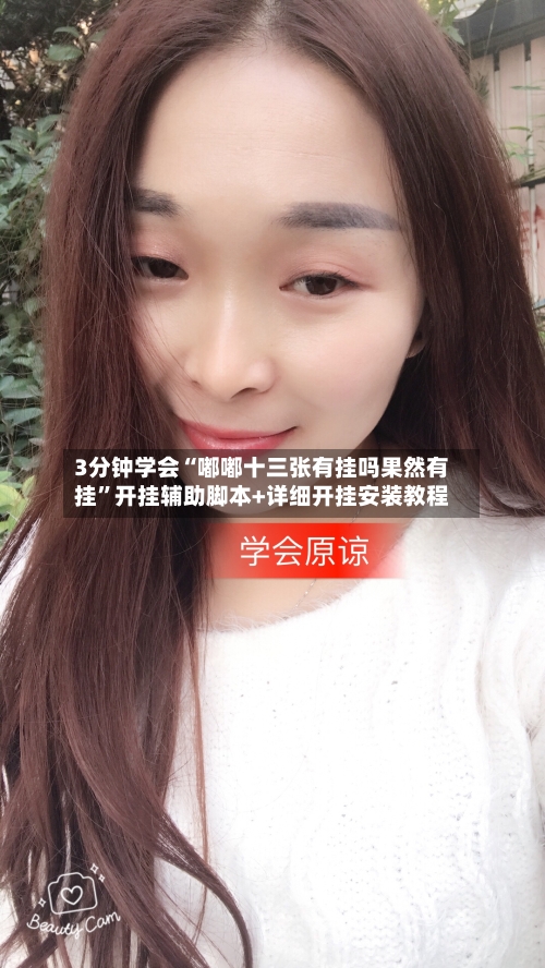 3分钟学会“嘟嘟十三张有挂吗果然有挂”开挂辅助脚本+详细开挂安装教程-第2张图片