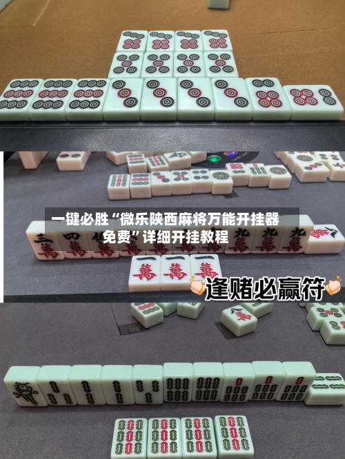 一键必胜“微乐陕西麻将万能开挂器免费”详细开挂教程-第1张图片