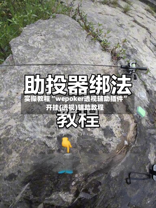 实操教程“wepoker透视辅助插件”开挂(透视)辅助教程-第1张图片