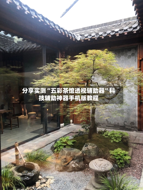 分享实测“五彩茶馆透视辅助器	”科技辅助神器手机版教程-第1张图片