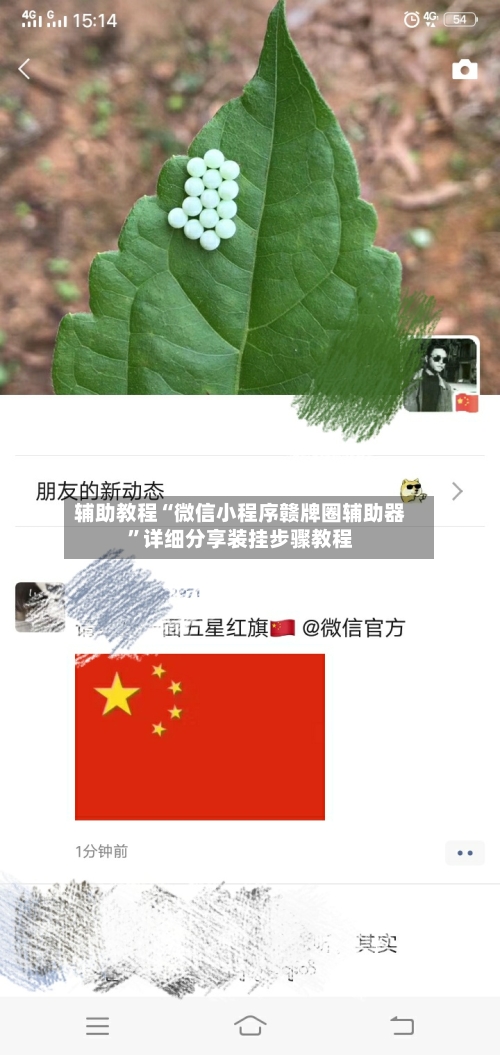 辅助教程“微信小程序赣牌圈辅助器”详细分享装挂步骤教程-第3张图片