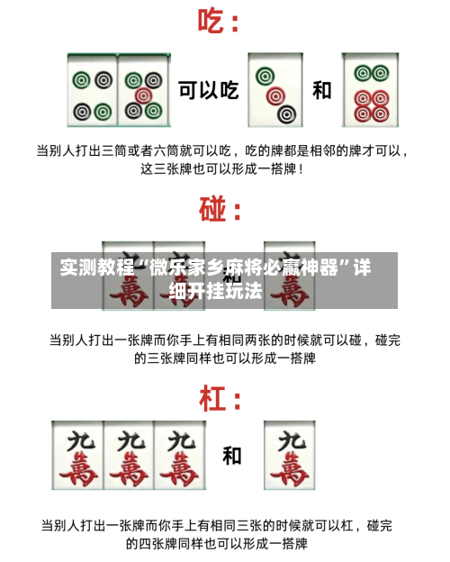 实测教程“微乐家乡麻将必赢神器”详细开挂玩法-第2张图片