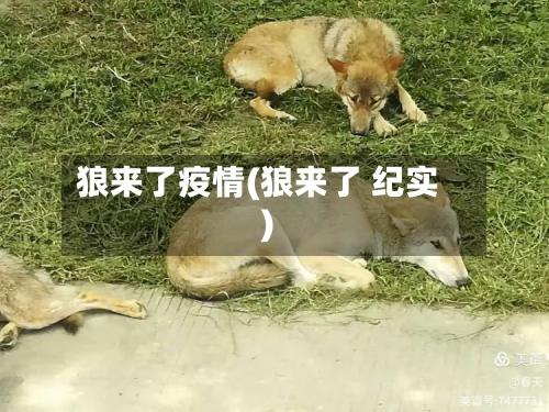 狼来了疫情(狼来了 纪实)-第2张图片